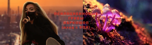 шишки Алексеевка