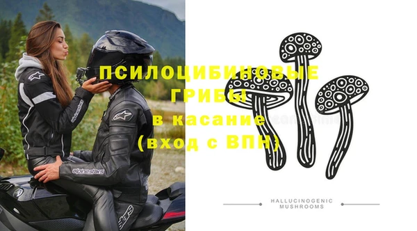 шишки Алексеевка